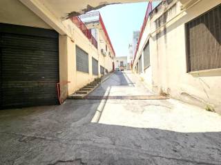 Zona