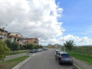 Zona