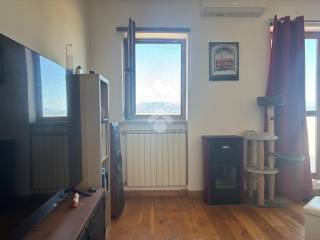 Studio