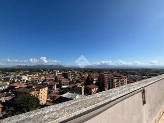 Vista