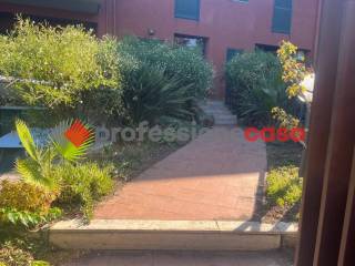 Ingresso