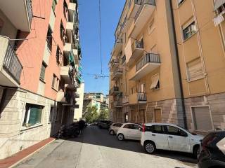 Zona