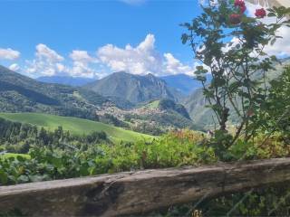 Vista