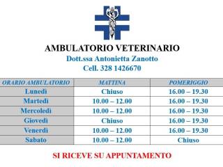 Altro