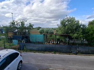 Zona