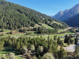 Vista