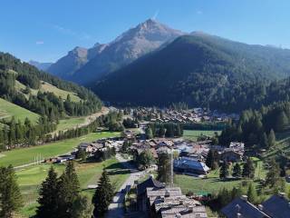 Vista