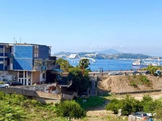 Vista