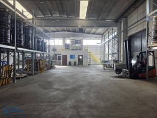Magazzino