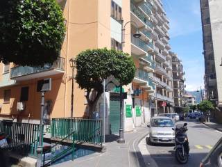 Zona