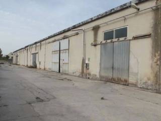 Zona