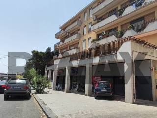 Zona