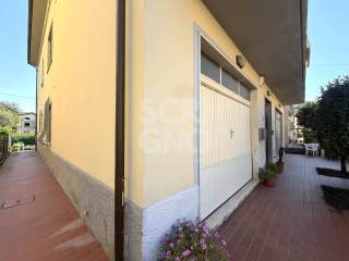 Ingresso