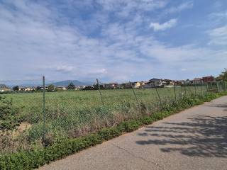 Zona