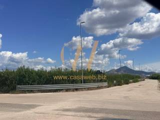 Zona