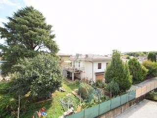 Vista
