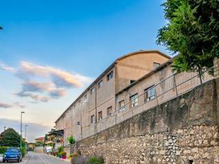 Zona