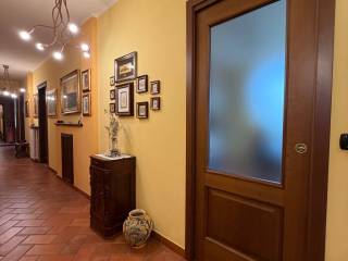 Ingresso