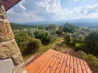 Vista
