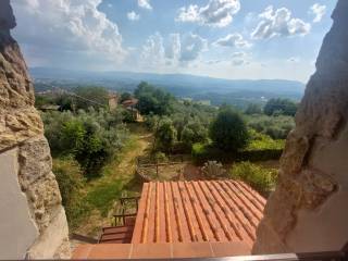 Vista