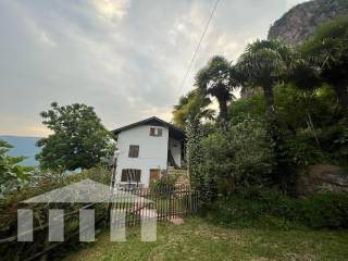 Vista