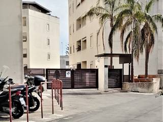 Zona