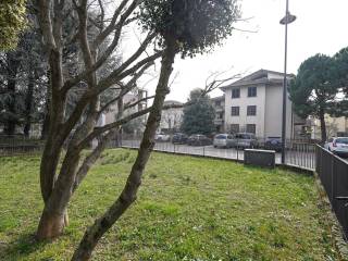 Zona
