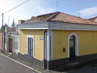 Zona