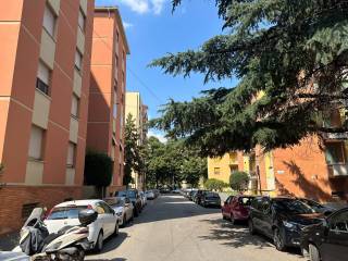 Zona