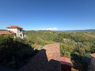 Vista