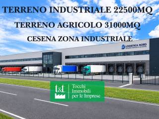 Zona