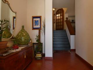 Ingresso