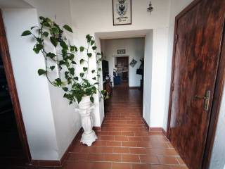 Ingresso