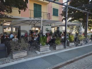 Zona