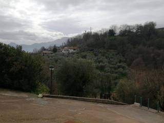 Vista