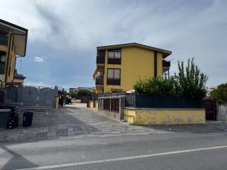 Zona