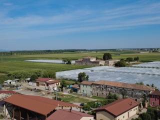 Vista