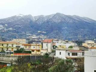 Zona