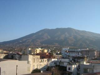 Zona