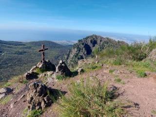 Zona