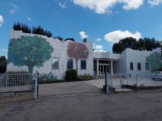 Zona