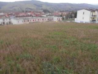 Zona