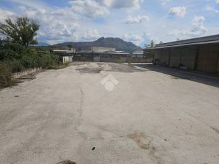 Zona