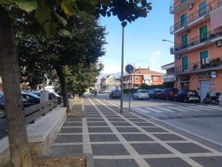 Zona