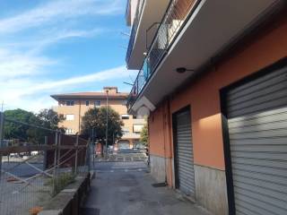 Zona