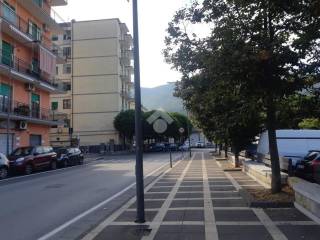 Zona