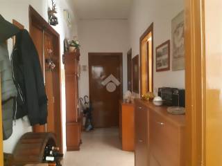Ingresso