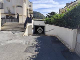 Zona
