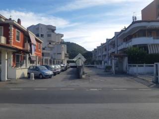 Zona