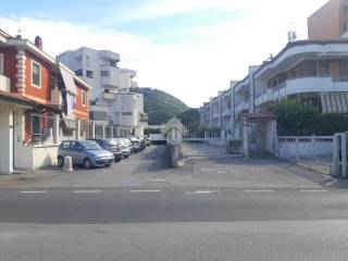 Zona